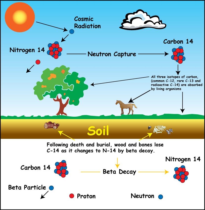 carbon dating the earth